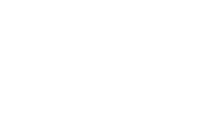 The Foot Store logo