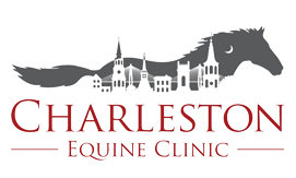 Charleston Equine Clinic logo