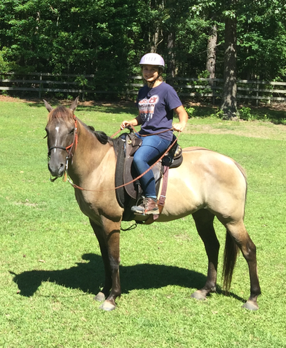 Jagger being ridden by new owner