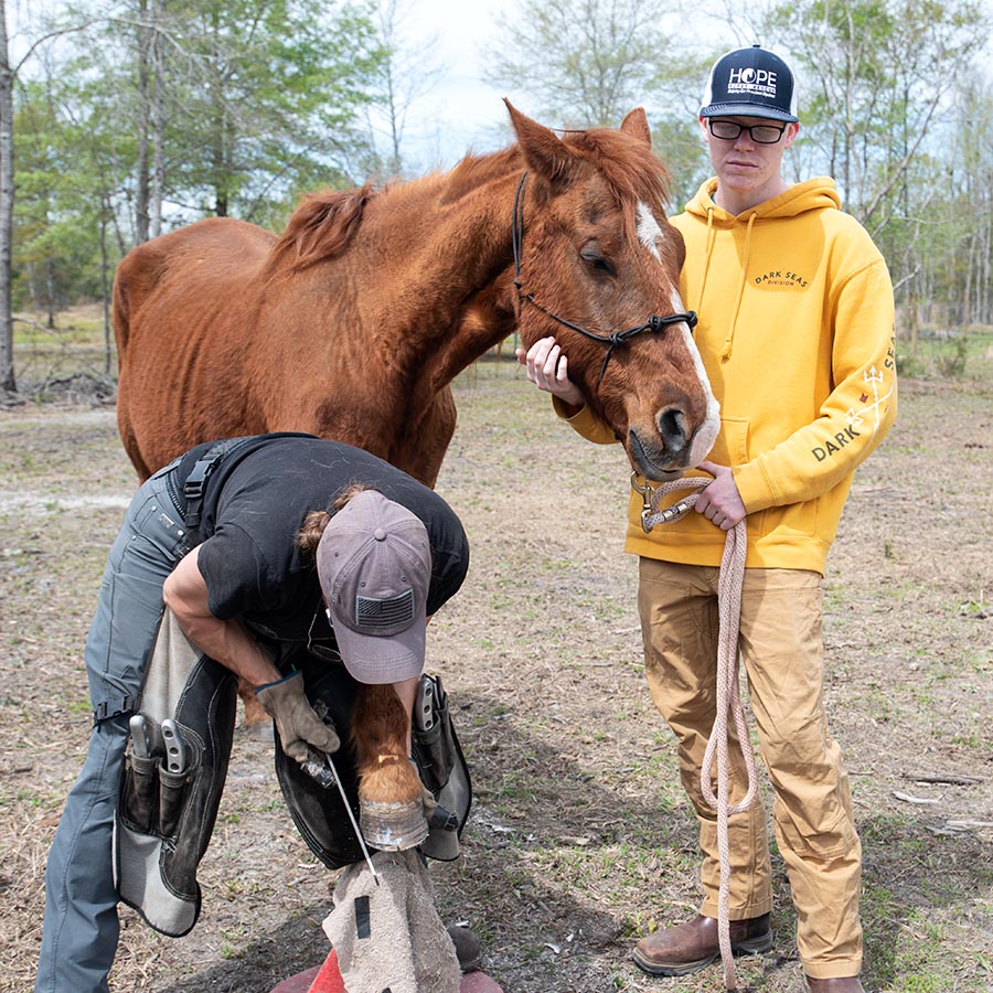 Kami being held by Clark in the pasture while Kristi the farrier works on her front hoof.