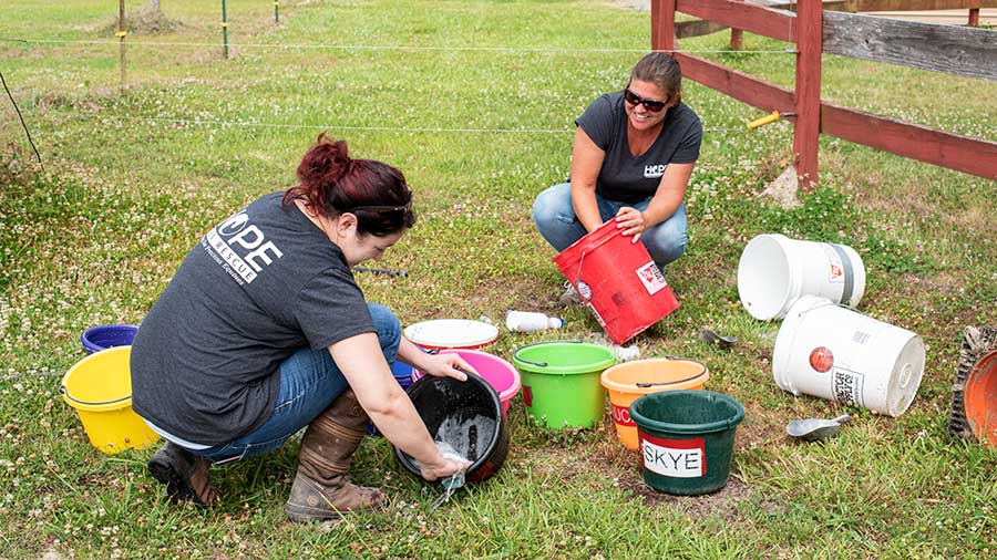 Tracey and Lauren scrubbing feed buckets.